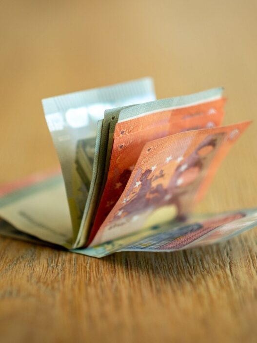 Euro bills representing online course pricing strategy