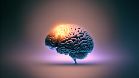 3D render of a human brain with a glowing region