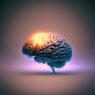 3D render of a human brain with a glowing region