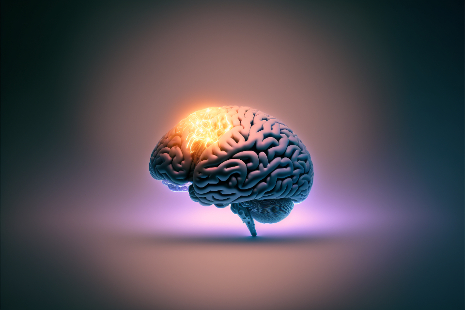 3D render of a human brain with a glowing region