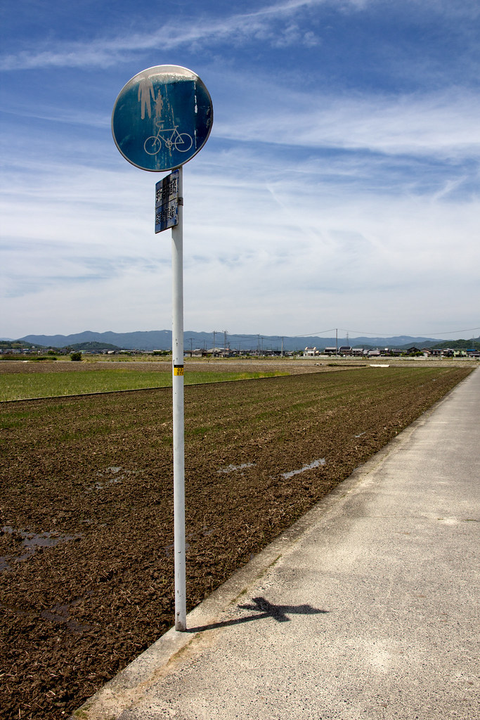 A road forking into two directions at a crossroads